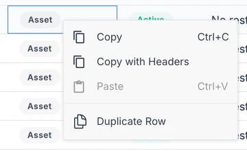 Right-click menu in a grid: copy, copy with headers, paste, and duplicate row